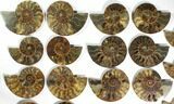 Lot: to Cut/Polished Ammonite Fossil - Pairs #117044-2